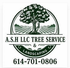 Logo for A.S.H.