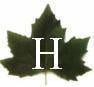 Avatar for Hirschmann Construction Services, Inc.