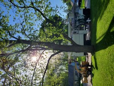 Avatar for Cut By Cut Tree Service