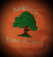 Logo for Augusta Tree and Lawn