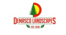 DemasCO Inc logo