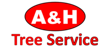 Avatar for A & H Tree Service