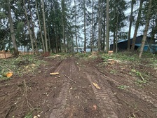 Logo for PNW Tree Services, Firewood & Excavation, LLC