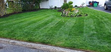 Avatar for MSG Lawn Care