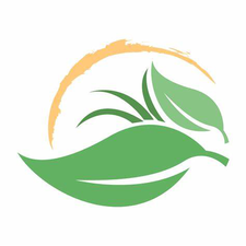 Dirty South Landscaping and Development logo