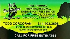 Logo for T & S Tree Service