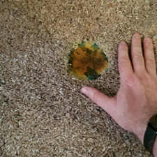 Carpet Repair Carpet Stretching Berber Snags Speedyvac Carpet Repair Services