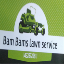 BAM Bams remodeling logo