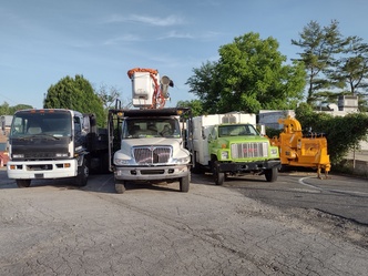 Carlito's Tree Cutting Service logo