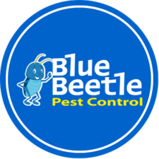 Avatar for Blue Beetle Pest Management LLC