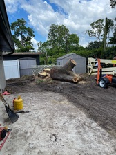 Logo for Waltman Landscaping & Trees
