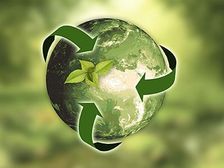 Avatar for Heck Removal Services
