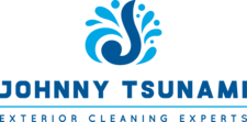 Johnny Tsunami logo