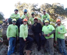 Tampa Bay Tree Service, LLC logo