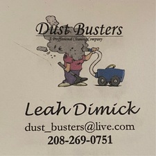 Avatar for Dust Busters