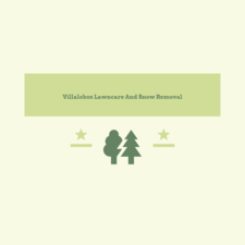 Avatar for Villalobos Lawncare and Snow Removal