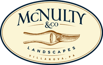 McNulty and Co. logo