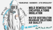 Logo for The Mold Guys LLC