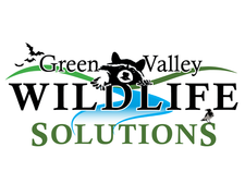 Avatar for Green Valley Wildlife Solutions, LLC