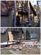Avatar for Top Notch Tree service - Beranda Facebook