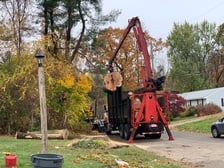 Avatar for Roel tree service