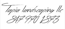 Avatar for Tapia Landscaping