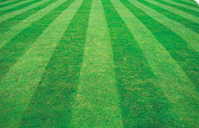 Avatar for Williams Landscaping