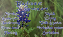 Avatar for Bluebonnet Lawncare