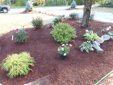 Avatar for Andrews Landscaping and Tree Service