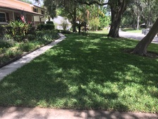 Norwood Lawncare, LLC logo