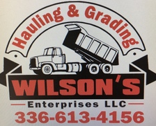 Wilson's Enterprises, LLC logo