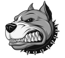 Logo for Brick Dawg Construction