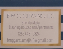 BMG Cleaning, LLC logo