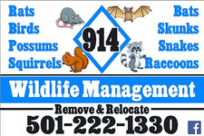 Avatar for 914 Wildlife Management, LLC