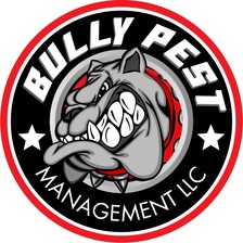 Avatar for Bully Pest Management Inc. - Home Facebook