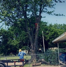 Logo for Romo Tree Climber