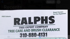 Avatar for Ralph's Tree Service