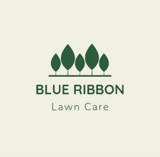Logo for Blue Ribbon Lawn Care