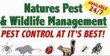 Natures Pest And Wildlife Management, LLC logo