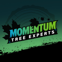 Momentum Tree Experts logo