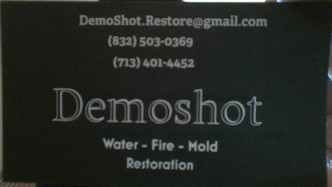 Demo Shot logo