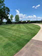 Sudduth Lawn Care logo