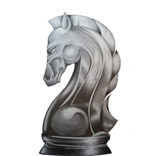 Logo for Sentry Stone Restoration and Polishing Services