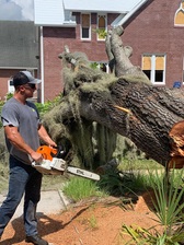 Avatar for Cox Arboriculture Services, LLC