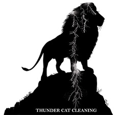 Thunder Cat Cleaning logo