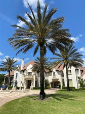 Patriot Outdoor logo