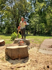 Logo for Arita's Tree Service