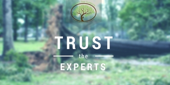 County Tree and Property Renovation logo