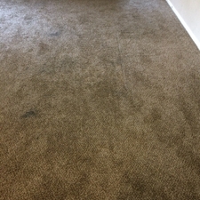 2020 Carpet Cleaning Prices Average Costs Per Room Homeguide