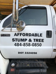 Affordable Stump and Tree Removal logo